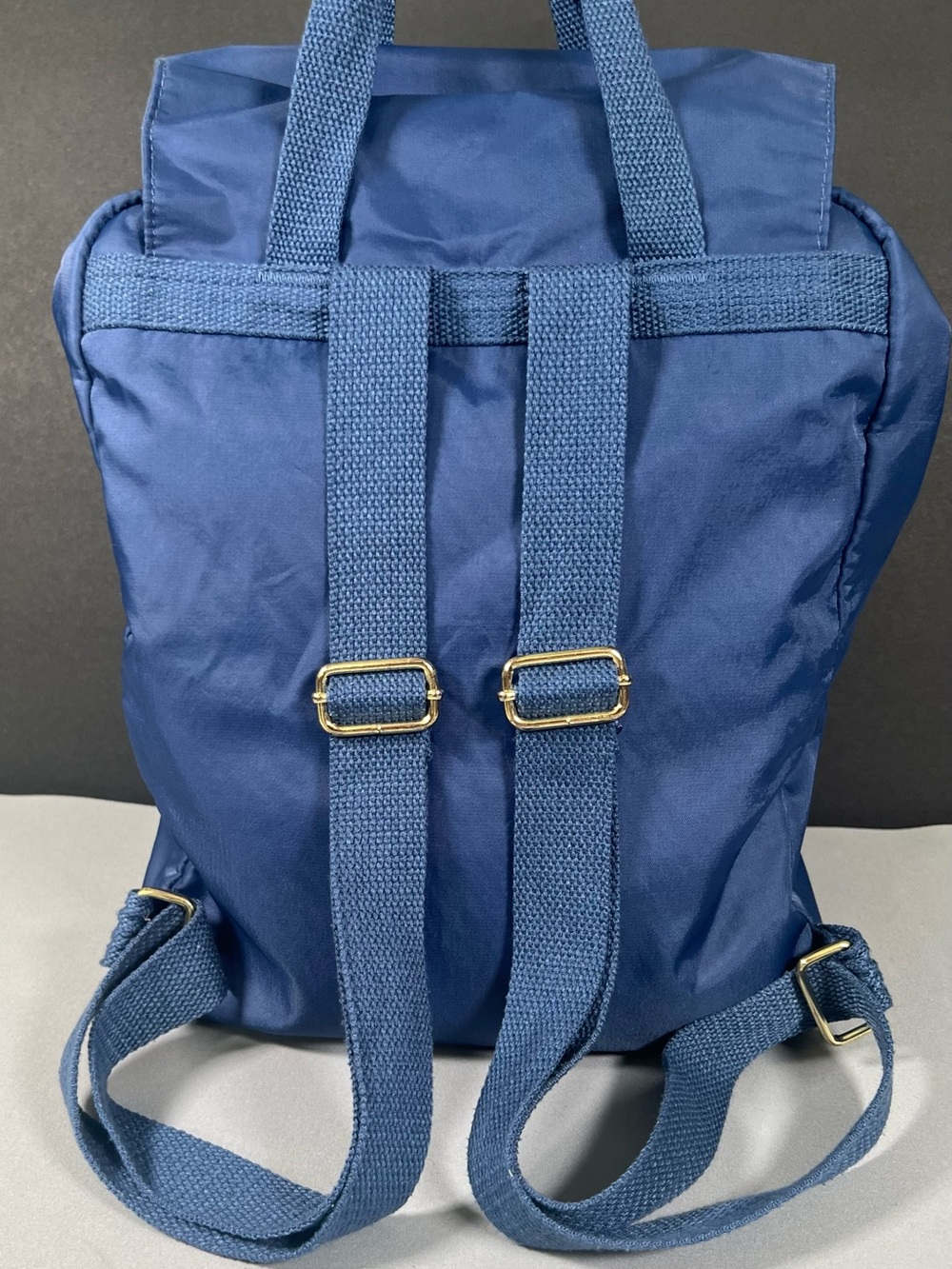 Blue Backpack - Picture 2 of 3